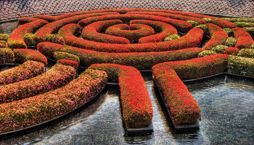 A winding maze representing a model exploring multiple reasoning paths before answering